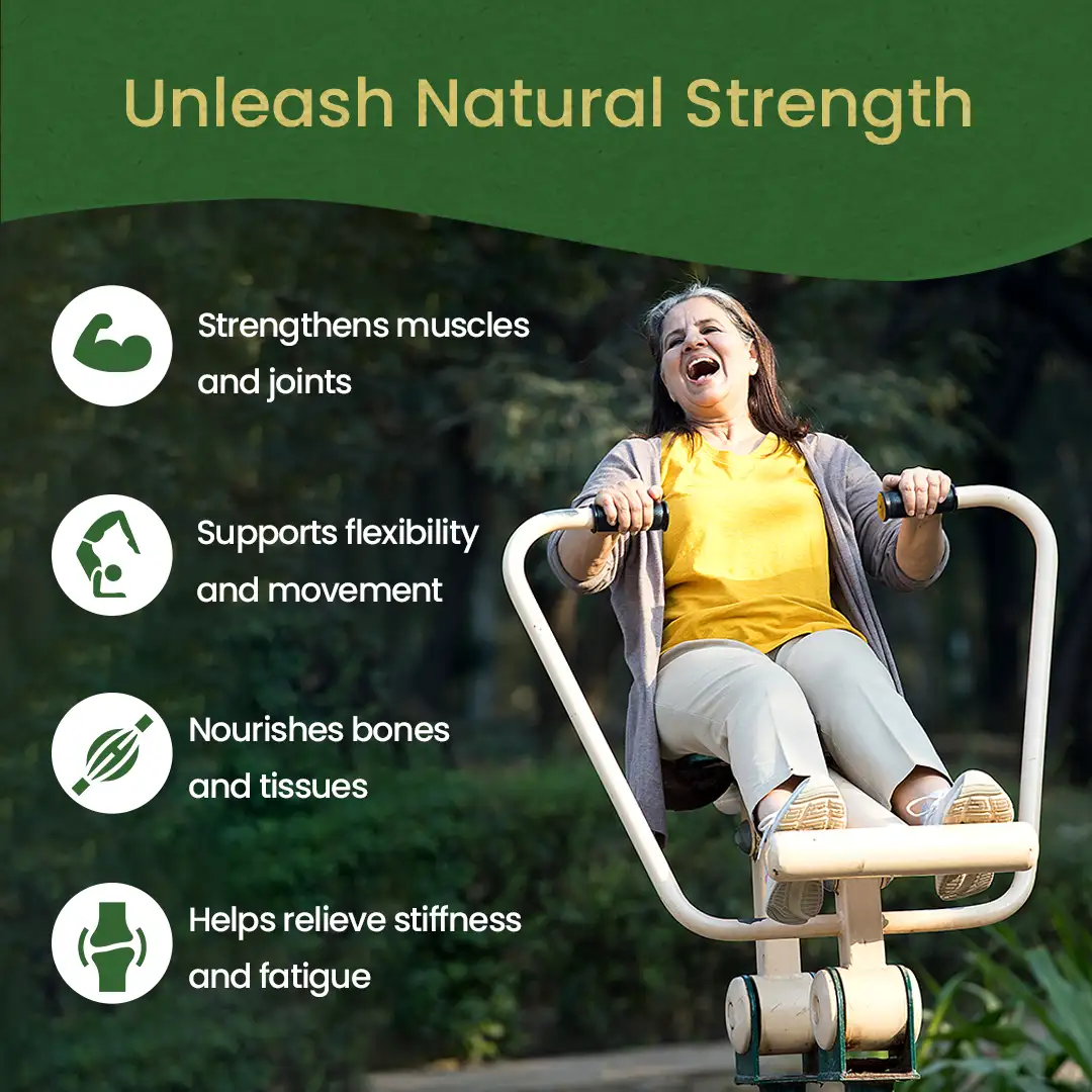 Bala Thailam (Oil) | Helps Relieve Joint Pain & Improve Muscle Strength - Image 3