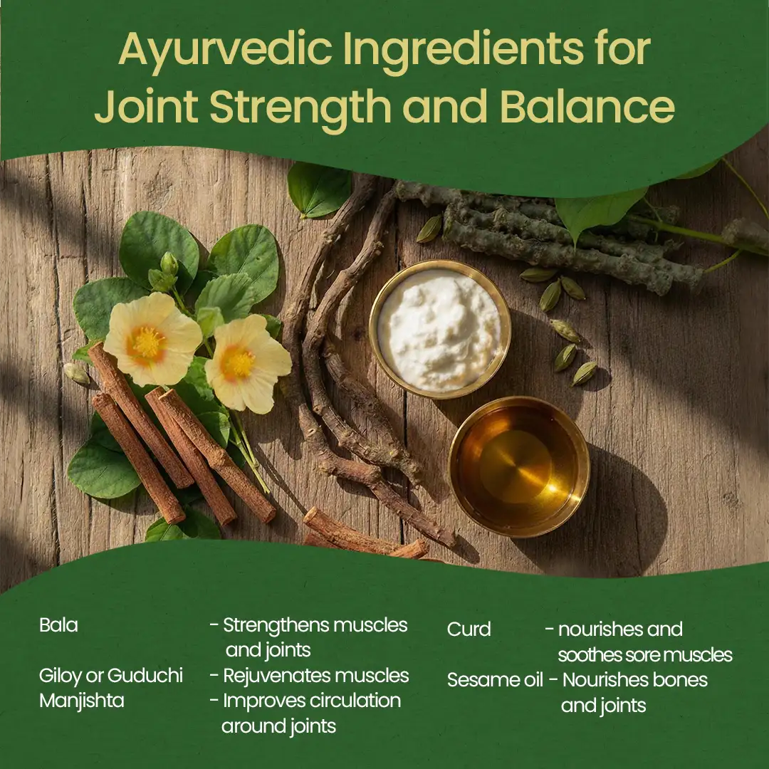 Bala Thailam (Oil) | Helps Relieve Joint Pain & Improve Muscle Strength - Image 6