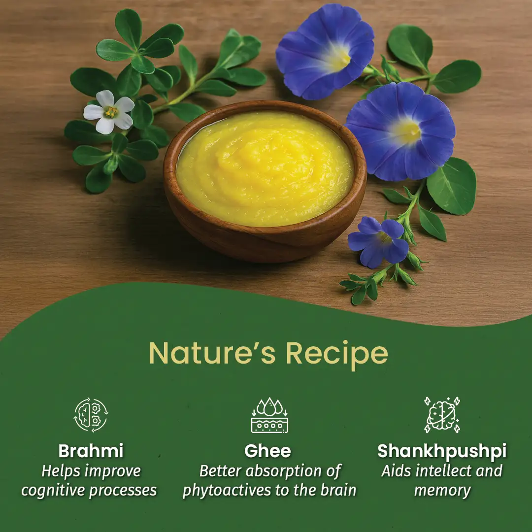 Brahmi Ghritham for Memory, Concentration & Brain Health - Image 5