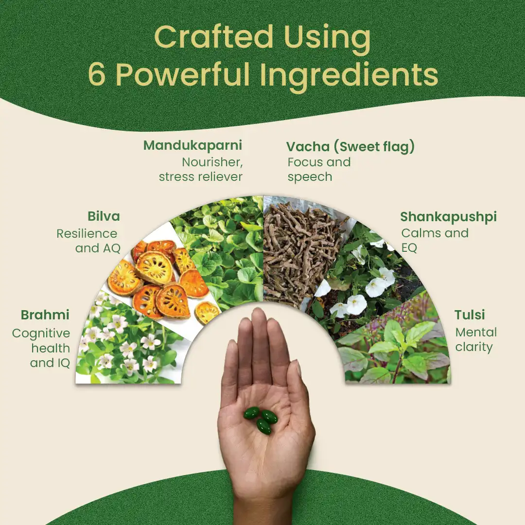 Brahmi Pearls for Memory, Focus, Mental Clarity & Stress Relief - Image 4