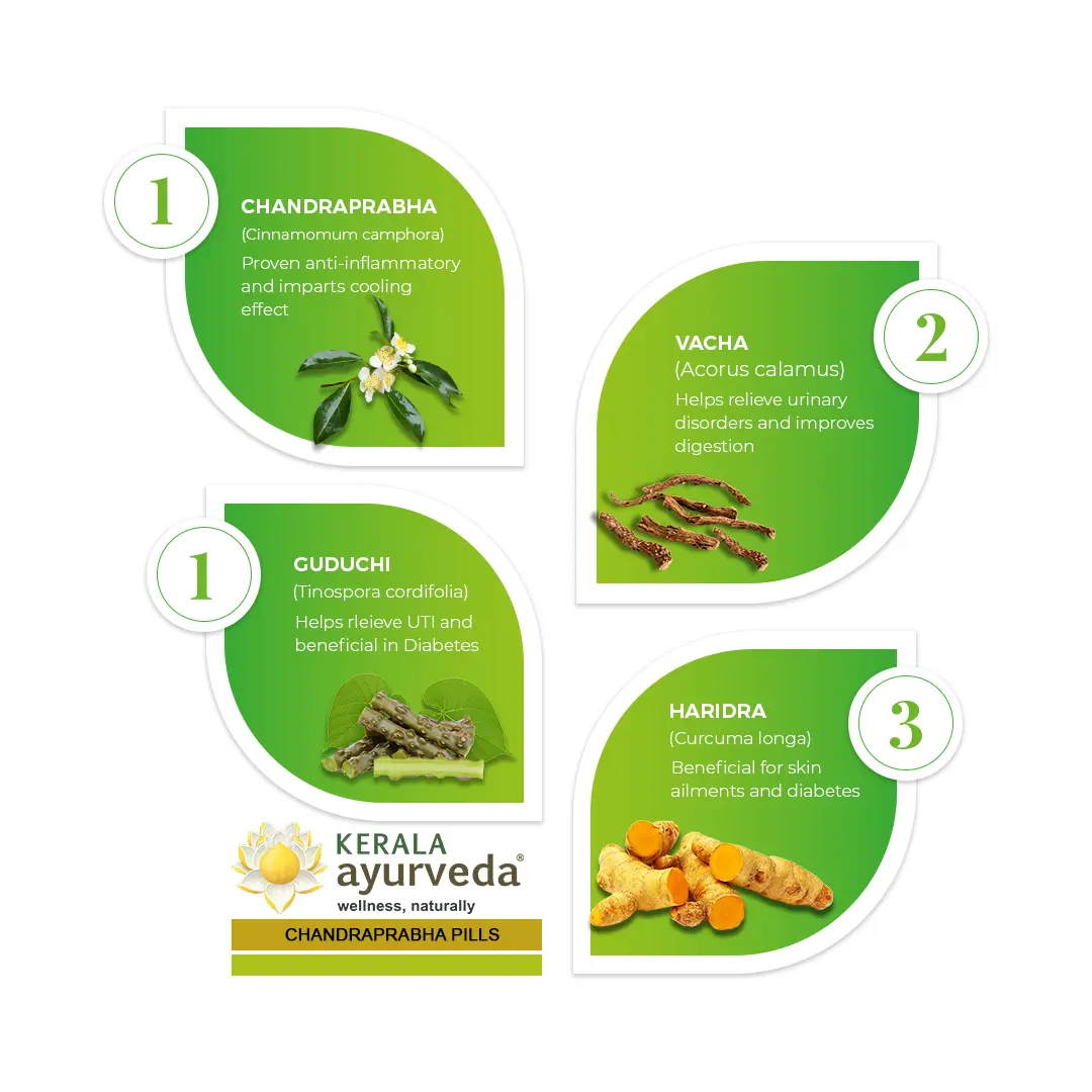 Chandraprabha Gulika (Pills-50 Nos) - Image 2