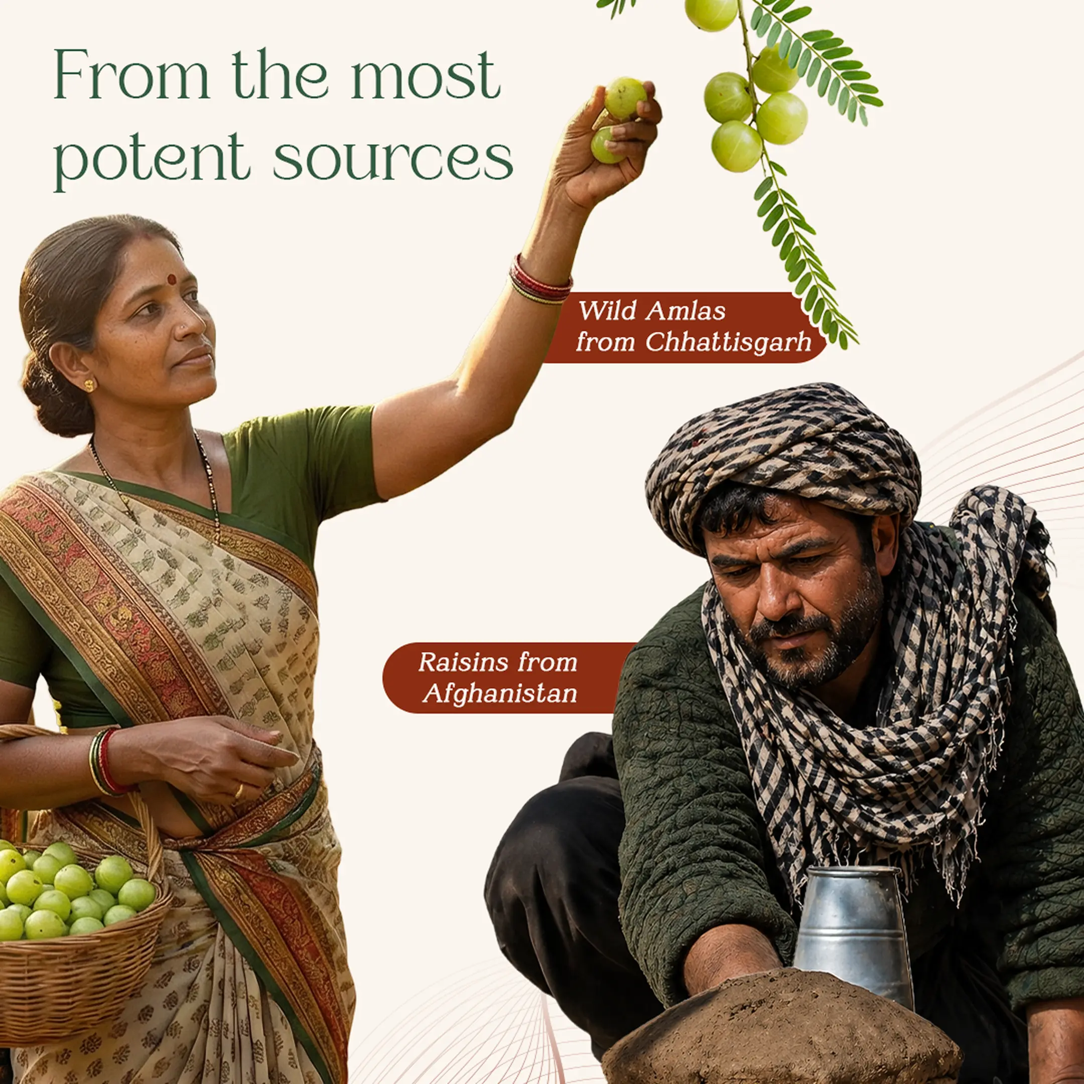 Chyavanprash with Amla for Natural Immunity Support - Image 5