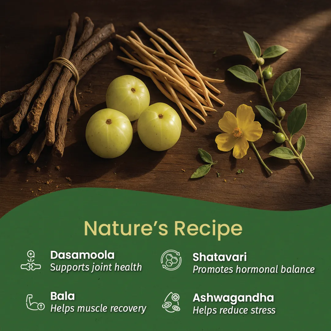 Dhanwantharam Thailam for Muscle Strength, Pregnancy Care & Postnatal Massage Support - Image 4