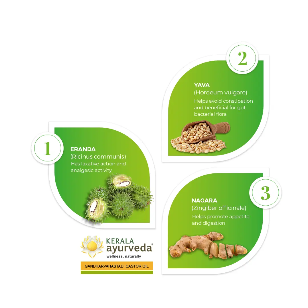 Gandharvahastadi Castor Oil (100 Ml) - Image 3