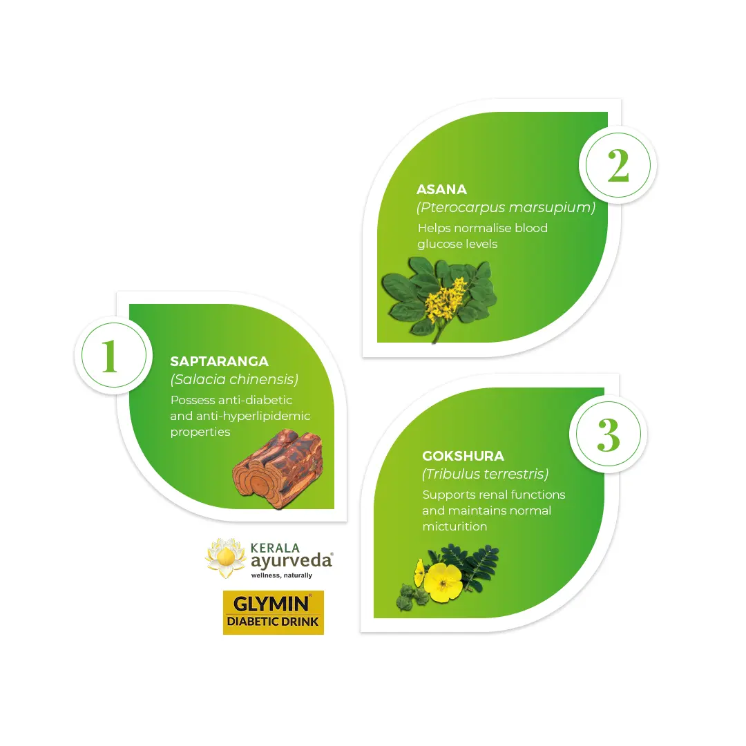 Glymin Diabetic Drink for Healthy Glucose Metabolism, Metabolic Wellness & Urinary Function Support - Image 3