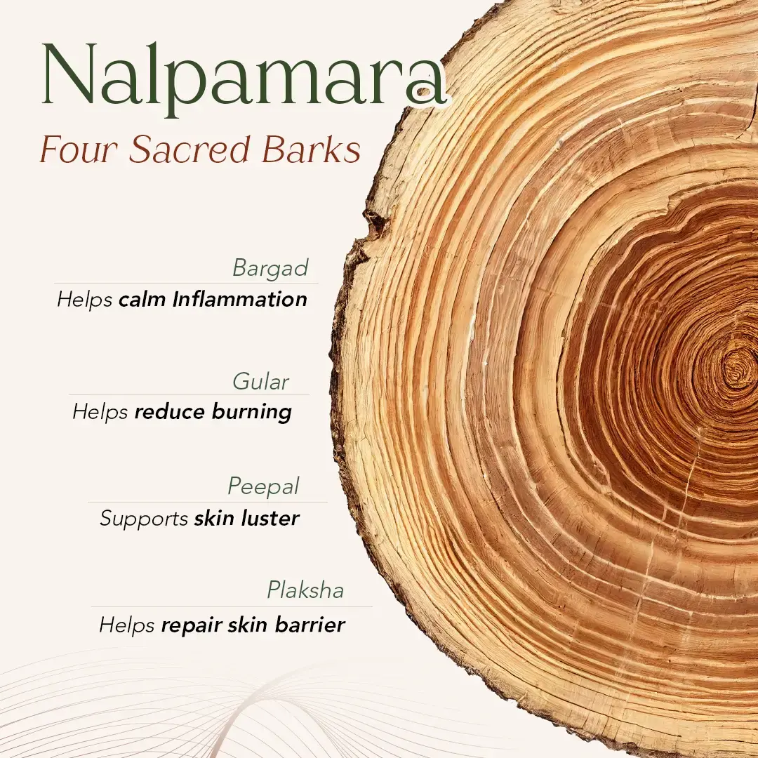 Nalpamaradi Keram | Helps Gently Detan Skin & Restore Natural Glow - Image 3