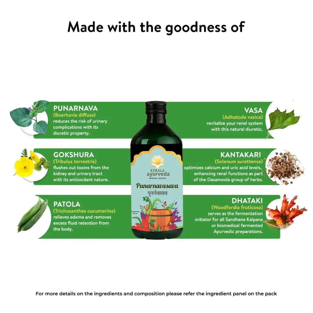 Punarnavasava (450 Ml) - Image 4