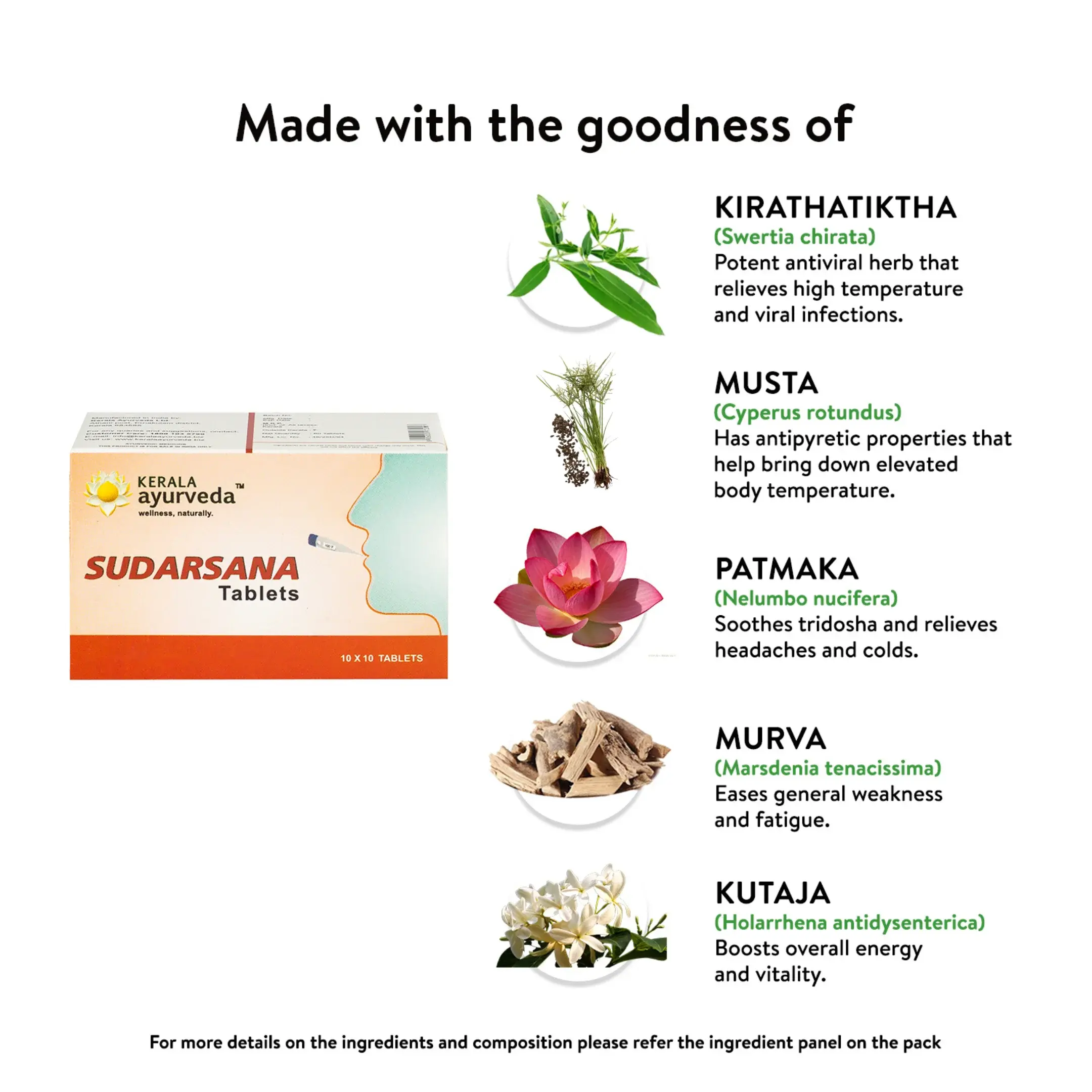 Sudarsana Tablet for Seasonal Wellness, Body Comfort & Natural Immune Support - Image 5