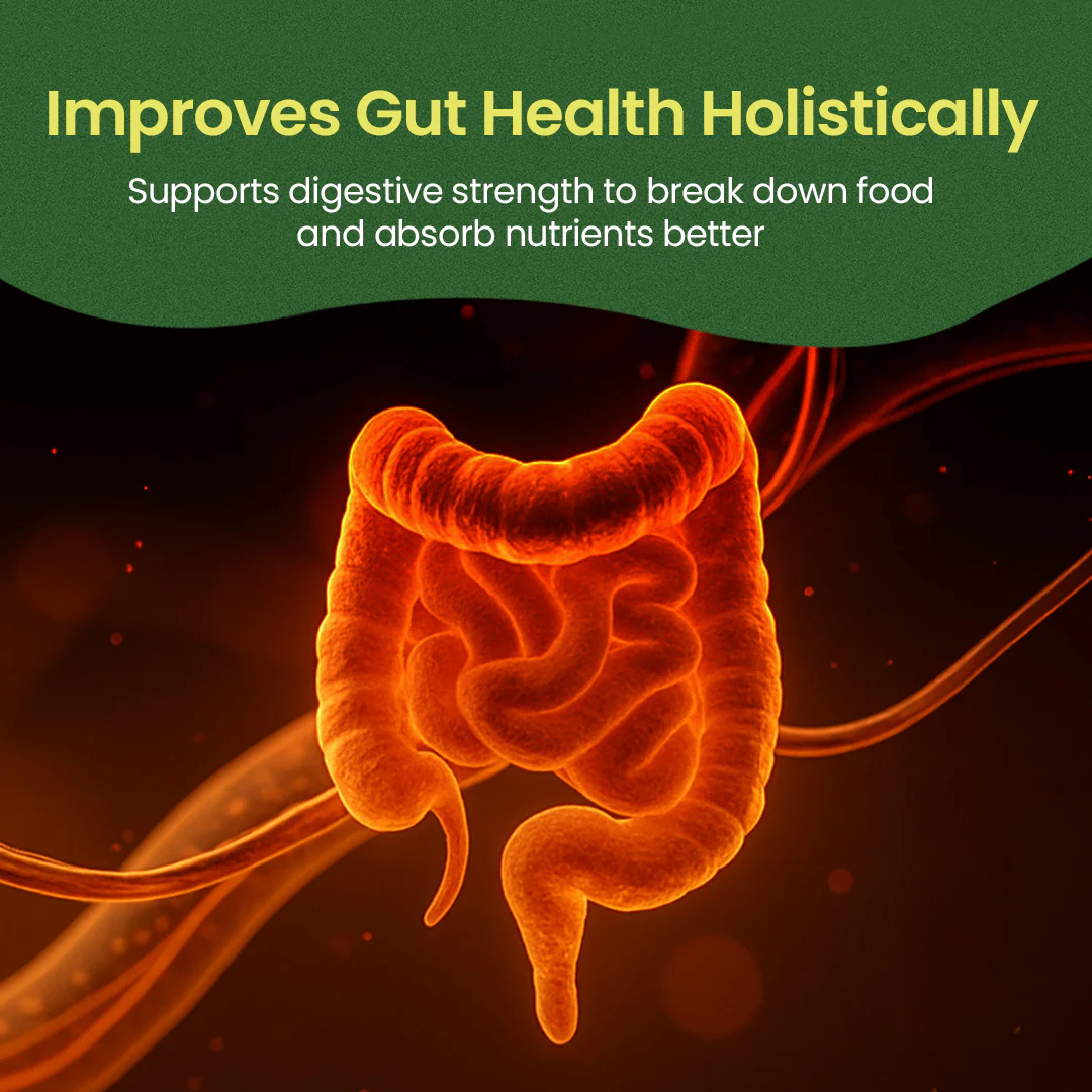 Triphala Tablets for Bowel Regularity, Gut Health & Better Digestion - Image 5
